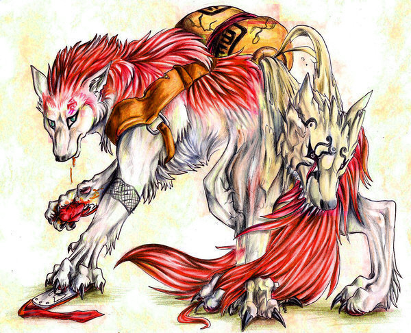 Gaaro-vlk